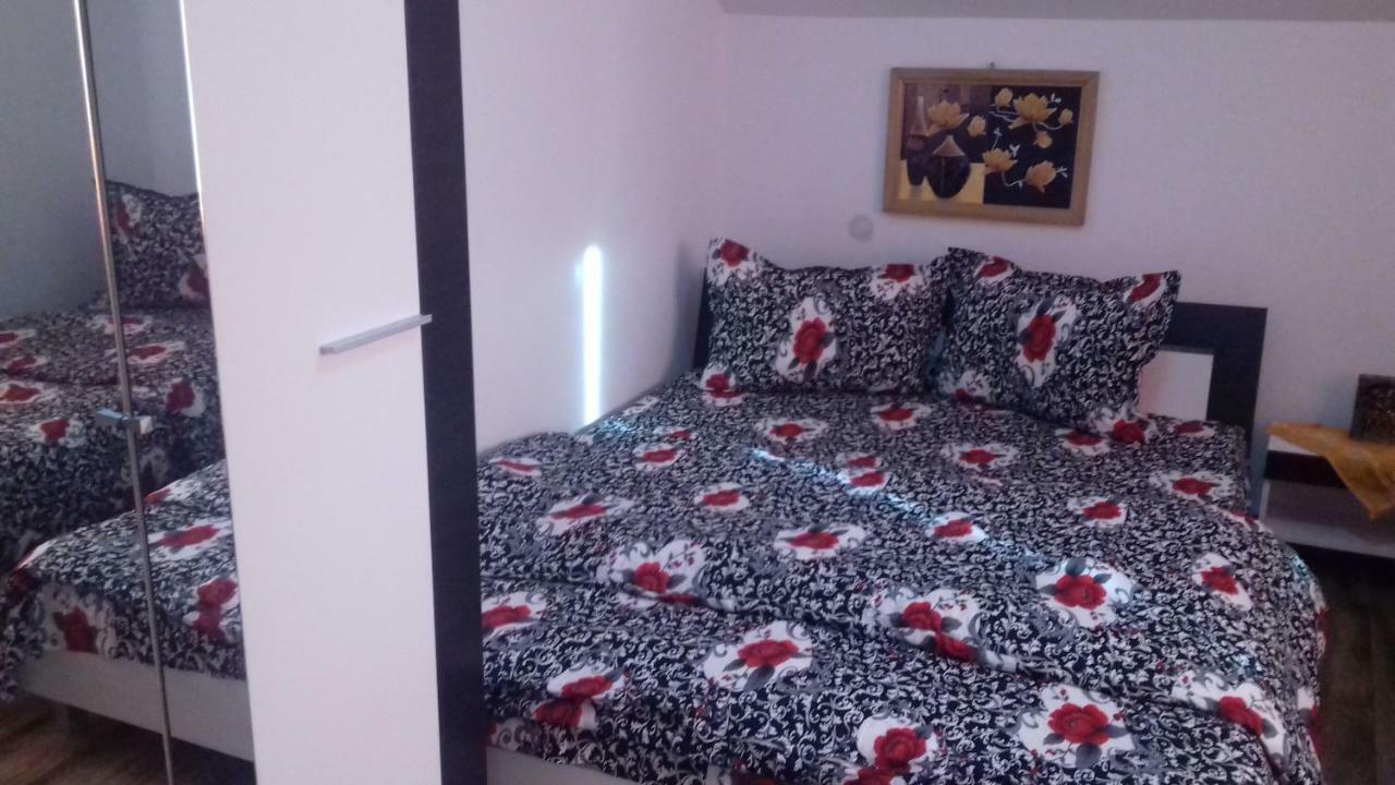 מלון Haţeg Casa Leonardo מראה חיצוני תמונה