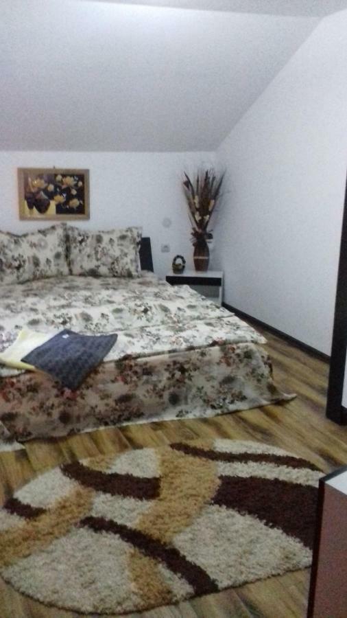 מלון Haţeg Casa Leonardo מראה חיצוני תמונה